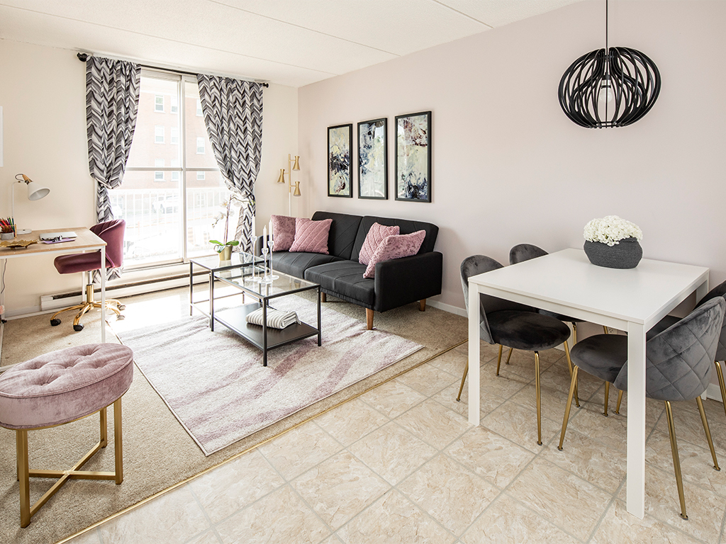 Appartement 2 Chambres a louer à Gatineau-Hull a Faubourg De lIle - Photo 01 - TrouveUnAppart – L418960